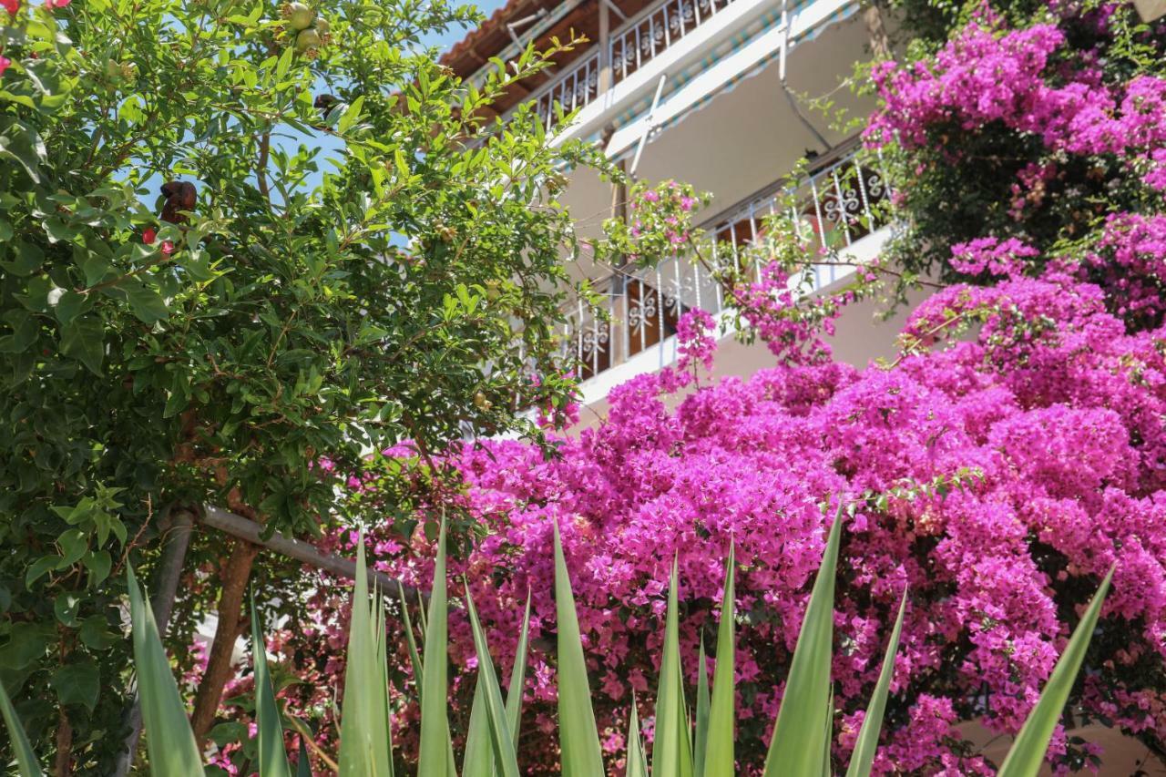 Vaya Zorba Studios Skiathos-stad Buitenkant foto